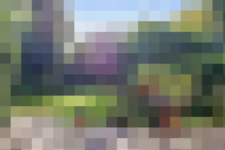 Helperzoom 53 Groningen thumbnail 31