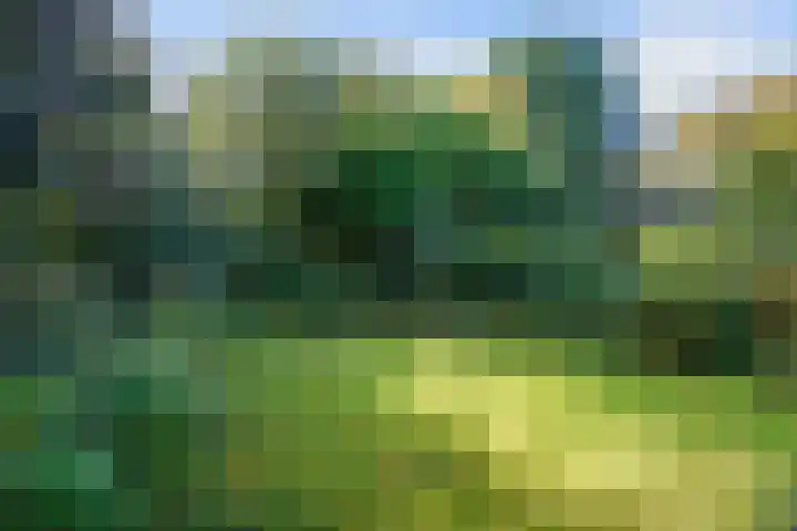 Helperzoom 53 Groningen thumbnail 32