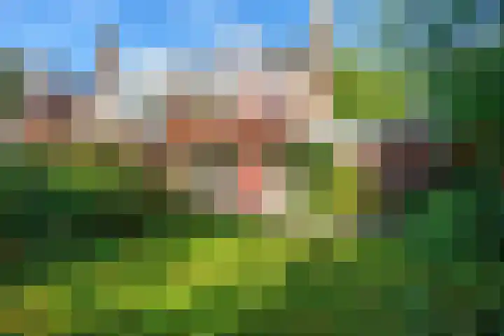 Helperzoom 53 Groningen thumbnail 33