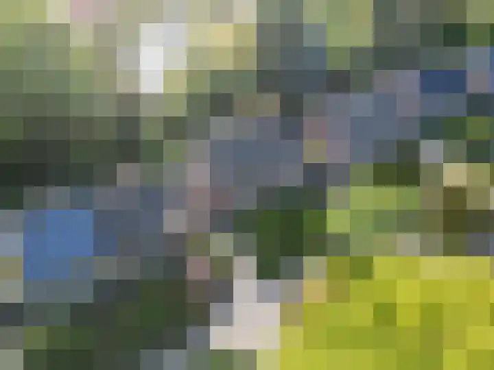 Helperzoom 53 Groningen thumbnail 34
