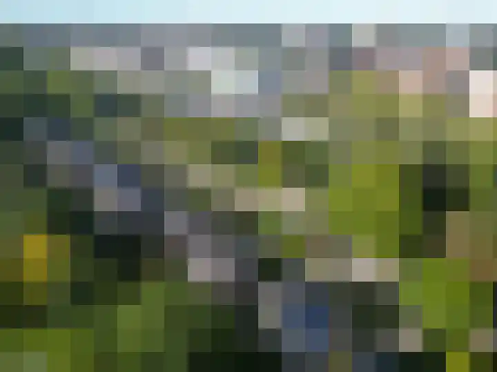 Helperzoom 53 Groningen thumbnail 35