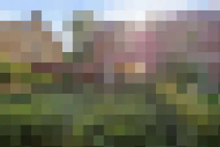 Helperzoom 53 Groningen thumbnail 6