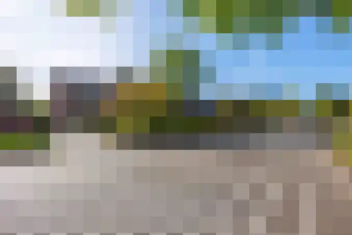 Helperzoom 53 Groningen thumbnail 7