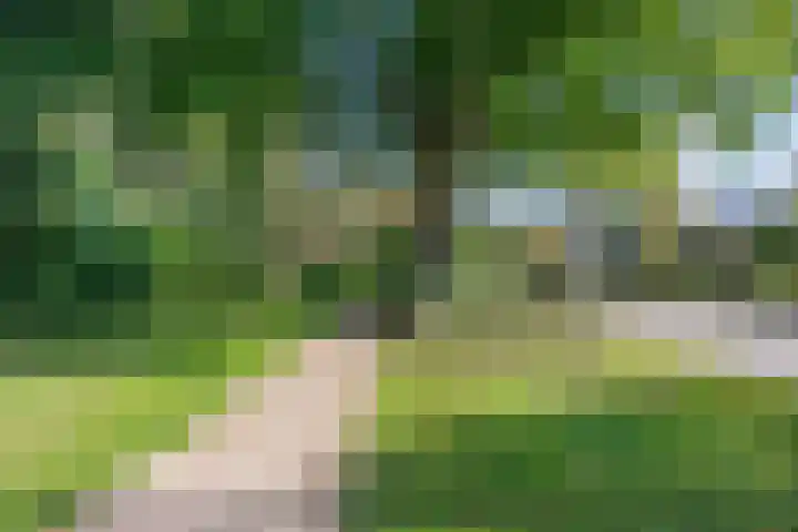 Helperzoom 53 Groningen thumbnail 8
