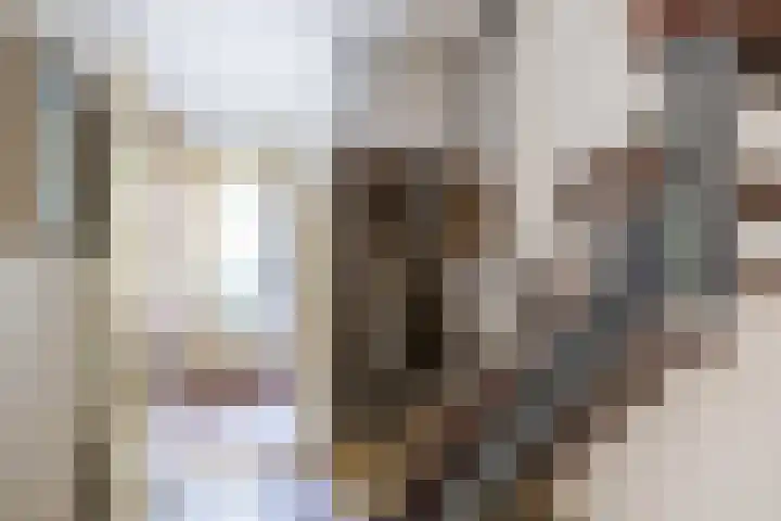 Helperzoom 53 Groningen thumbnail 9