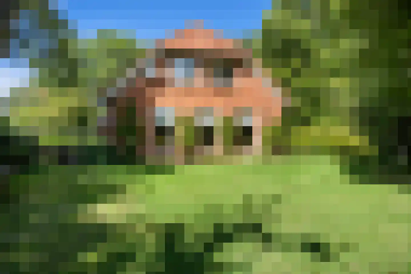 Helpman 24 Warffum