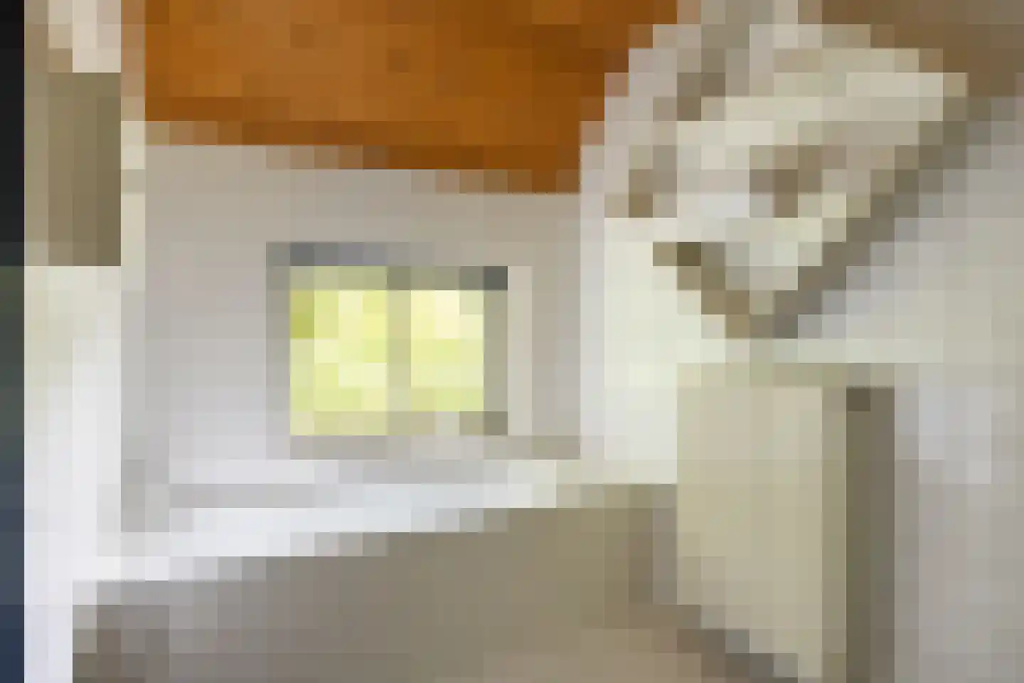 Helpman 24 Warffum thumbnail 14