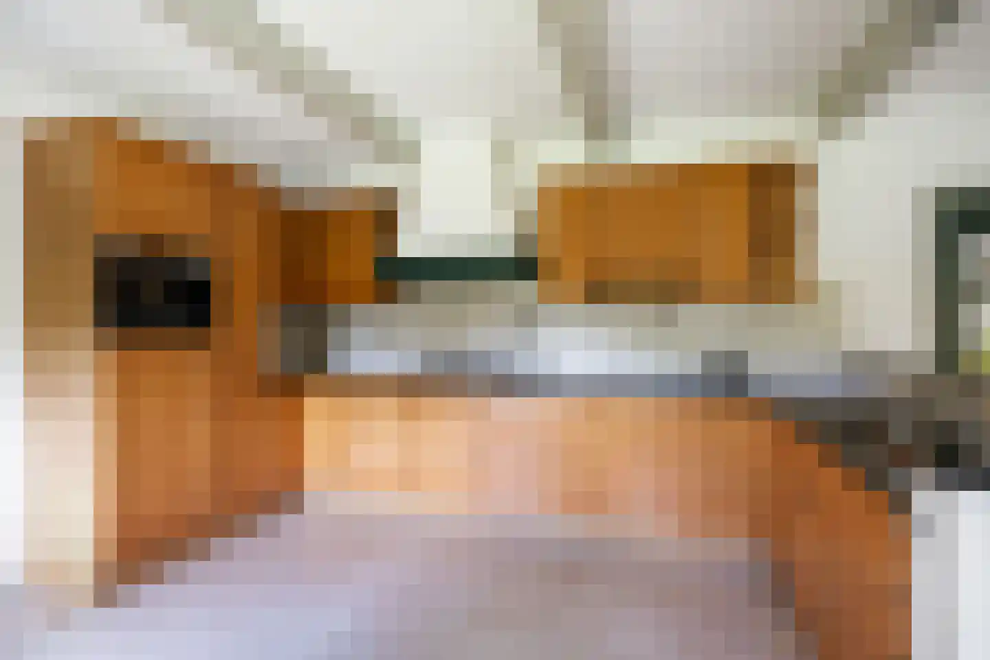 Helpman 24 Warffum thumbnail 21