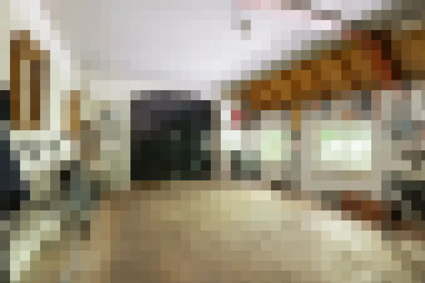 Helpman 24 Warffum thumbnail 25