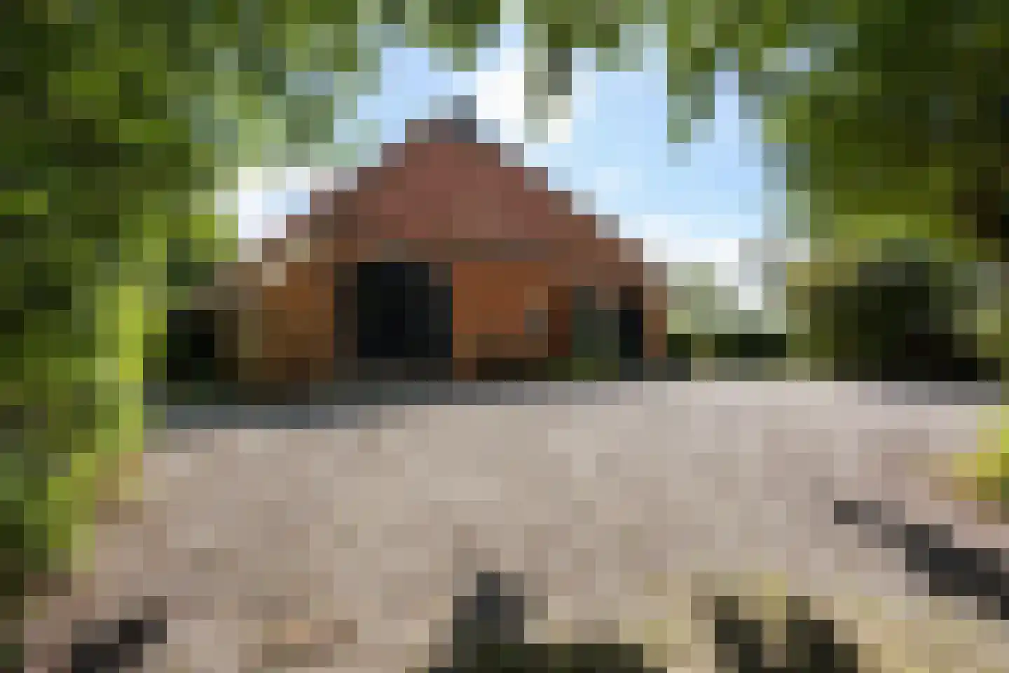 Helpman 24 Warffum foto 3
