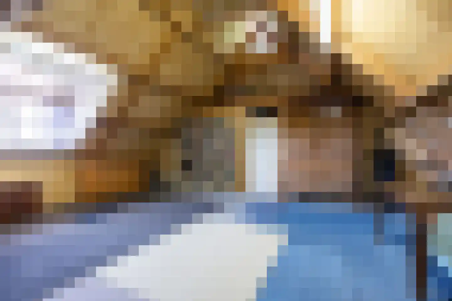 Helpman 24 Warffum thumbnail 34