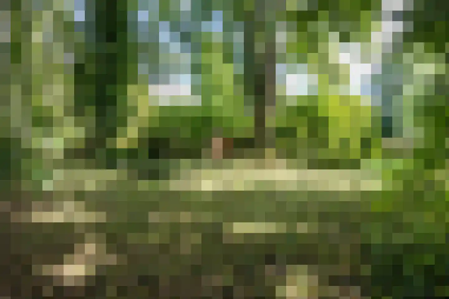 Helpman 24 Warffum thumbnail 39