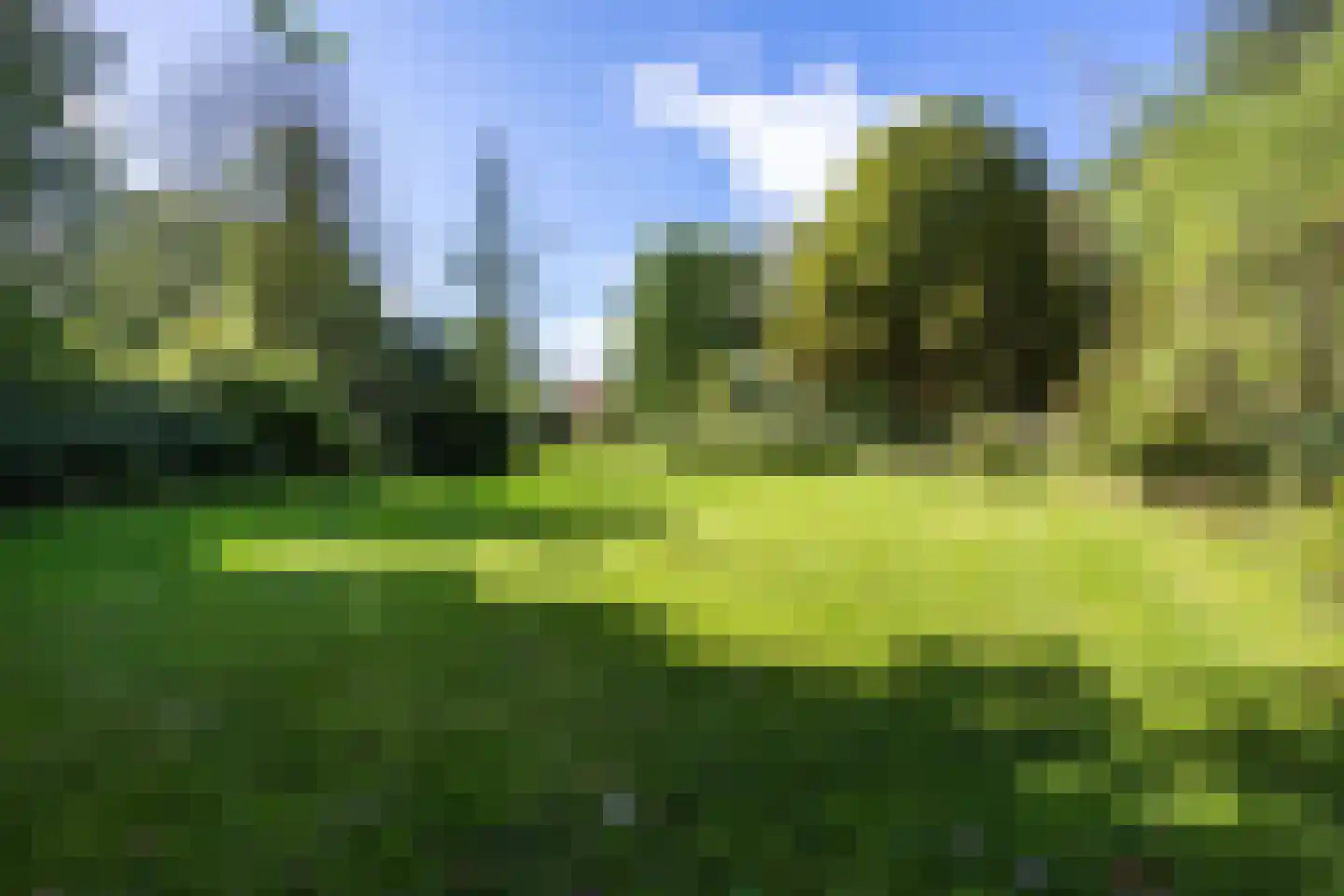 Helpman 24 Warffum thumbnail 4