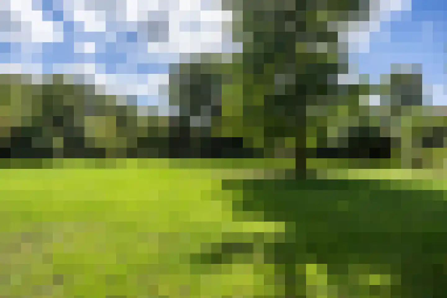 Helpman 24 Warffum thumbnail 41