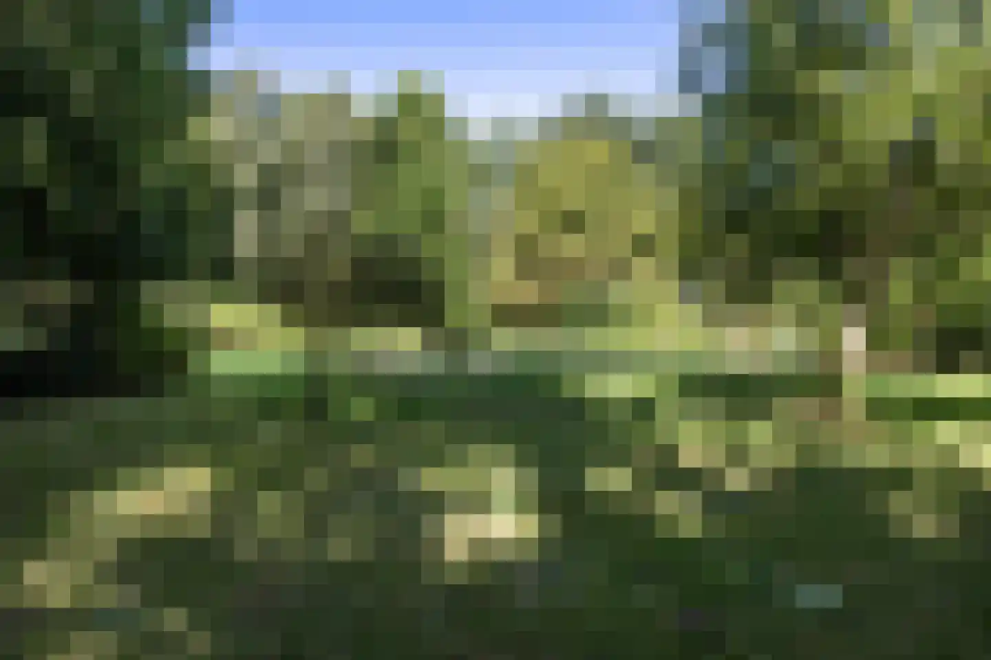 Helpman 24 Warffum thumbnail 44