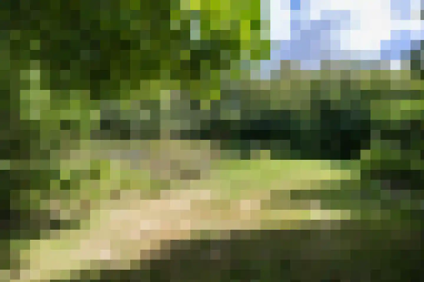Helpman 24 Warffum thumbnail 45