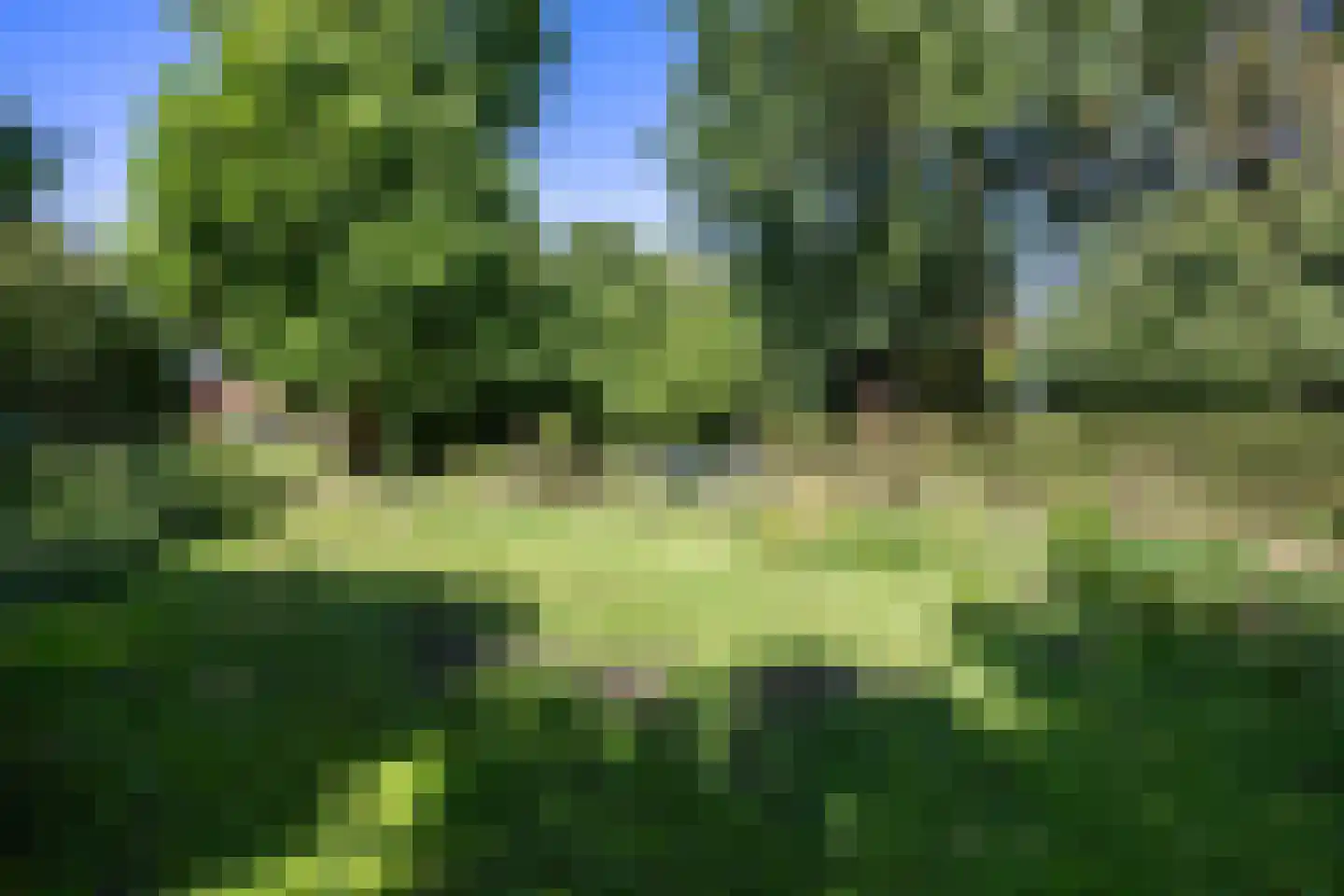Helpman 24 Warffum thumbnail 46