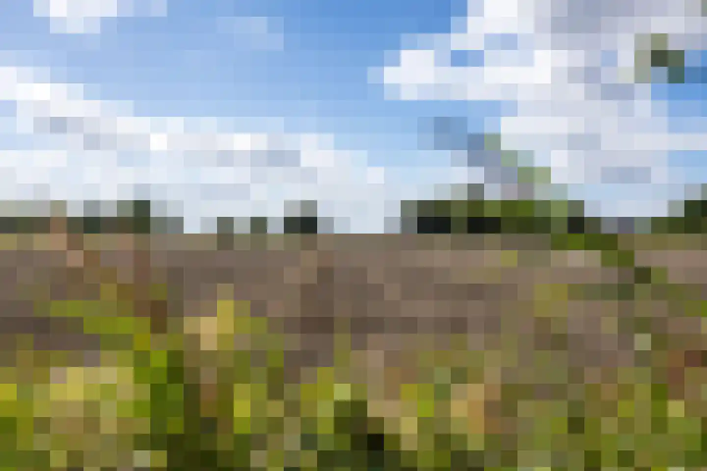 Helpman 24 Warffum thumbnail 5