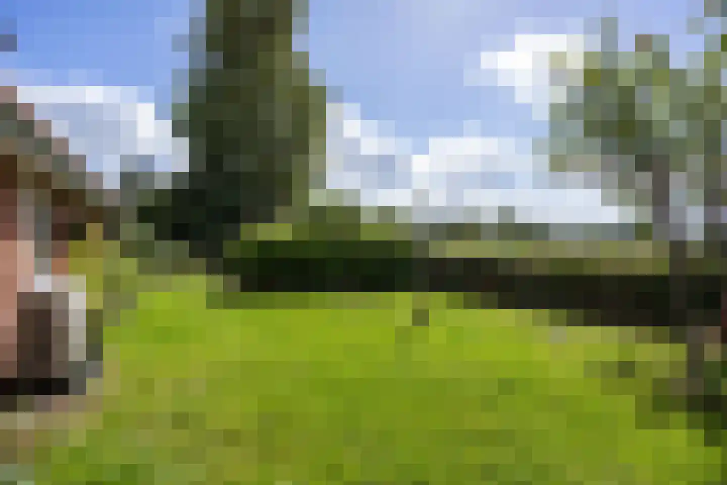 Helpman 24 Warffum thumbnail 51