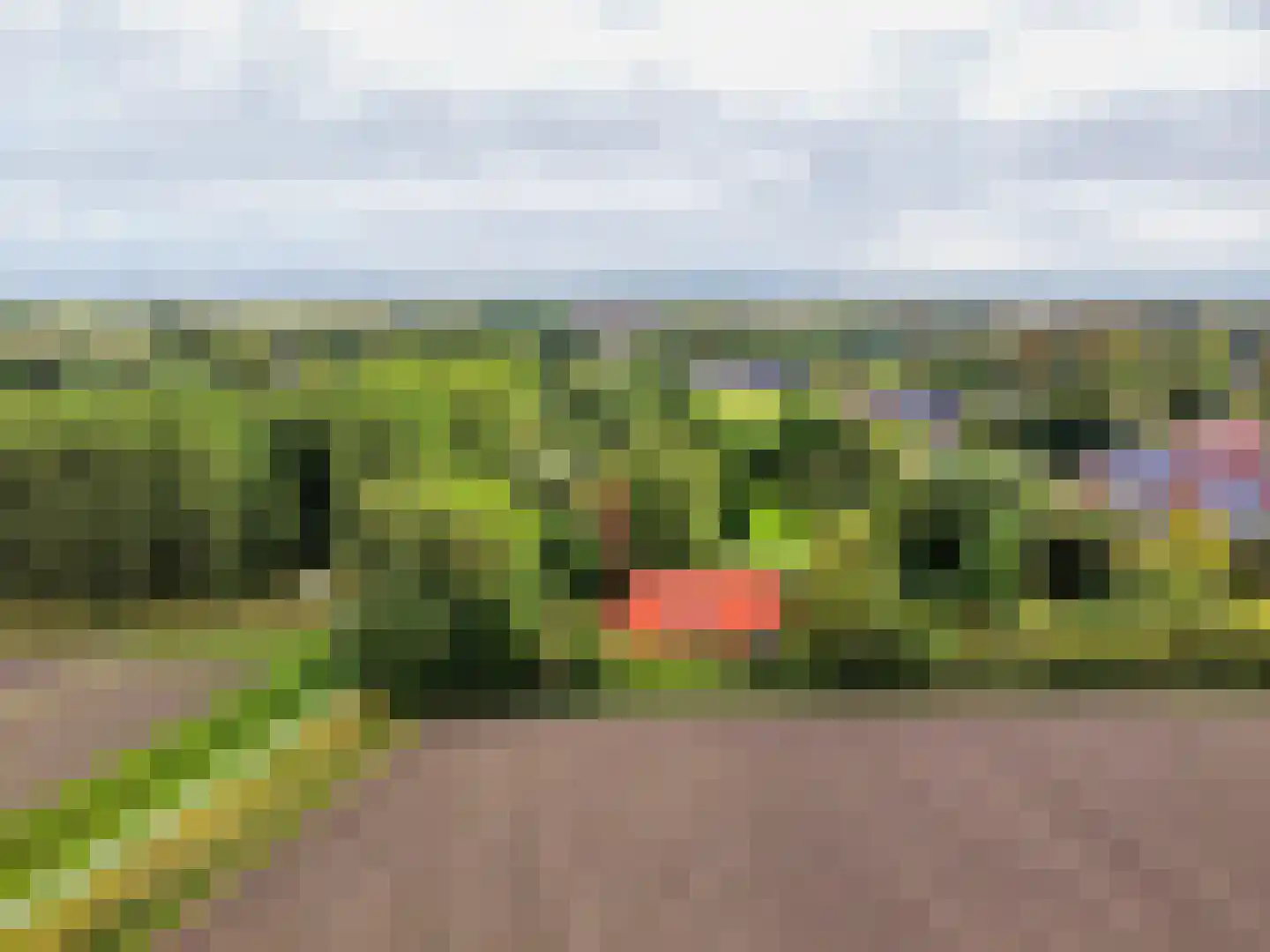 Helpman 24 Warffum thumbnail 52
