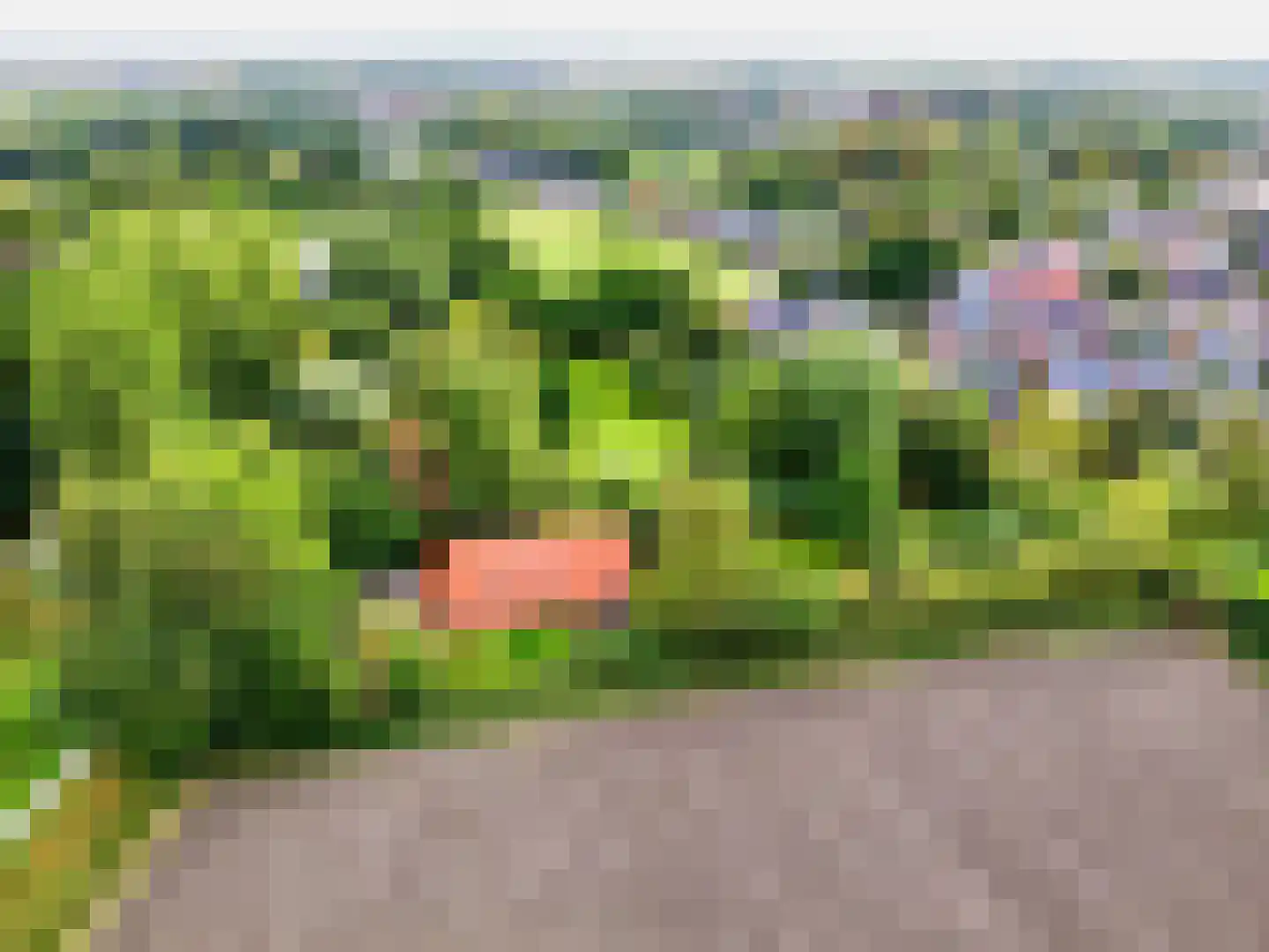 Helpman 24 Warffum thumbnail 53
