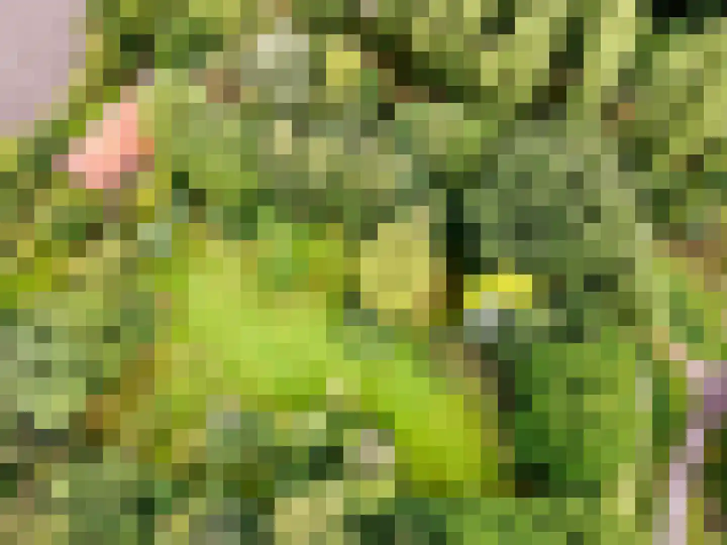 Helpman 24 Warffum thumbnail 56