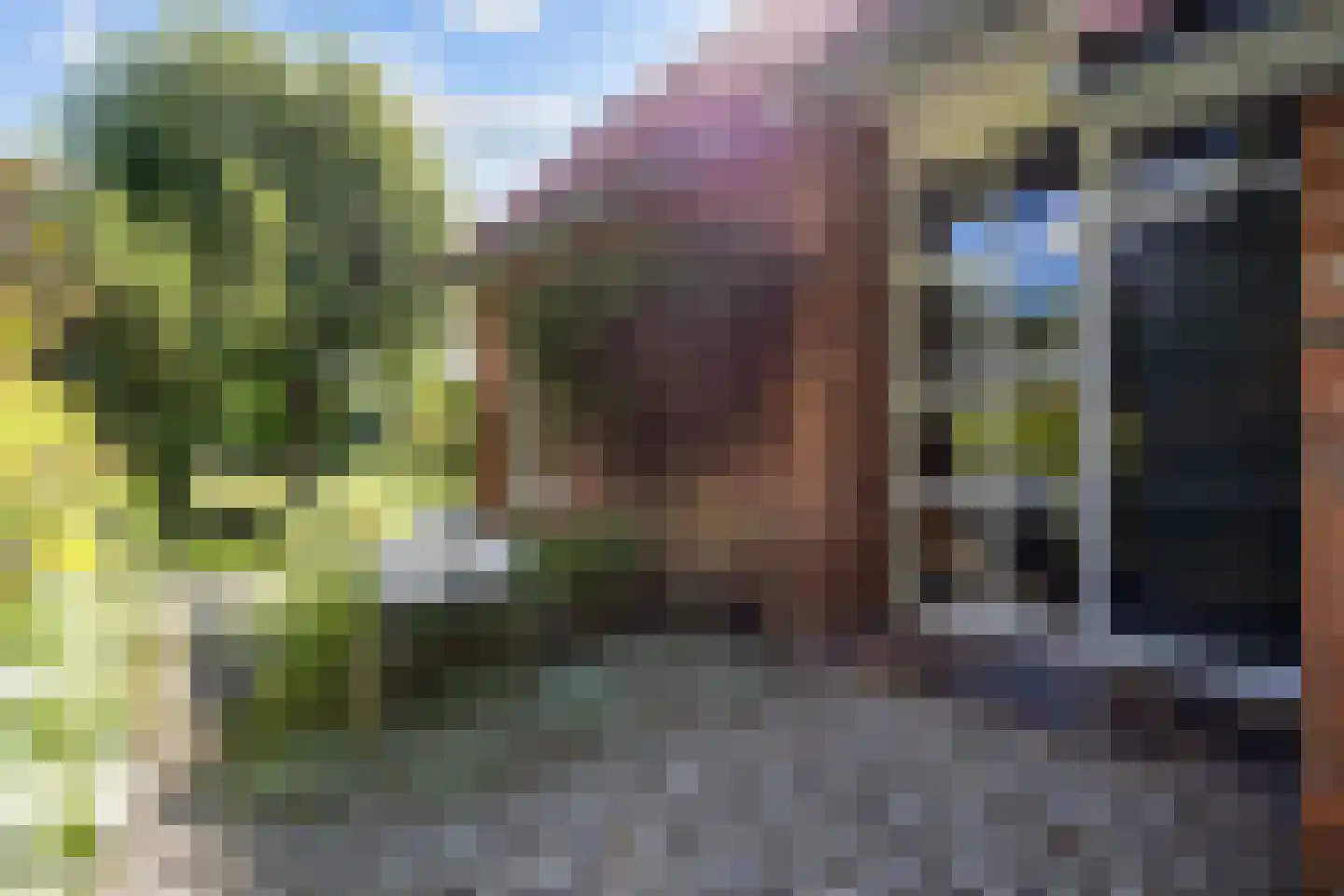 Helpman 24 Warffum thumbnail 6