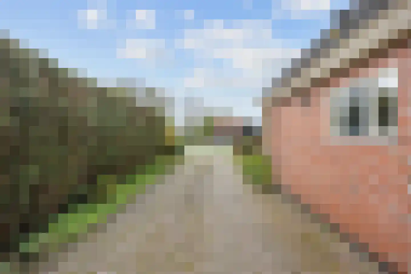 Helpman 31 Warffum thumbnail 32