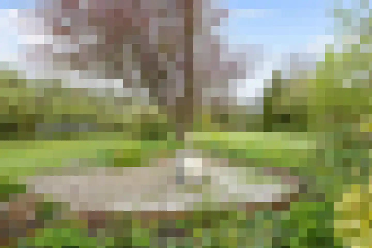 Helpman 31 Warffum thumbnail 37