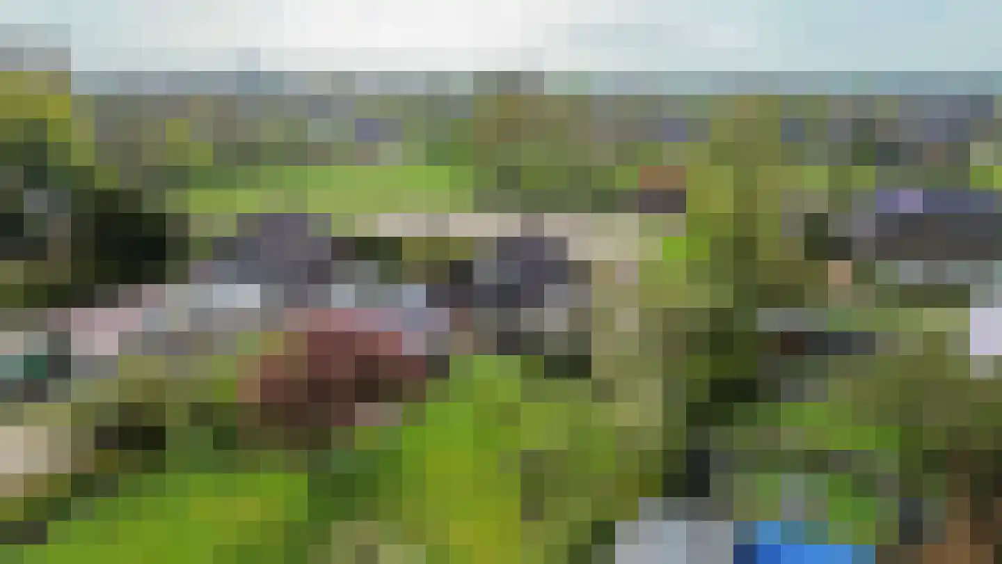 Helpman 31 Warffum thumbnail 5