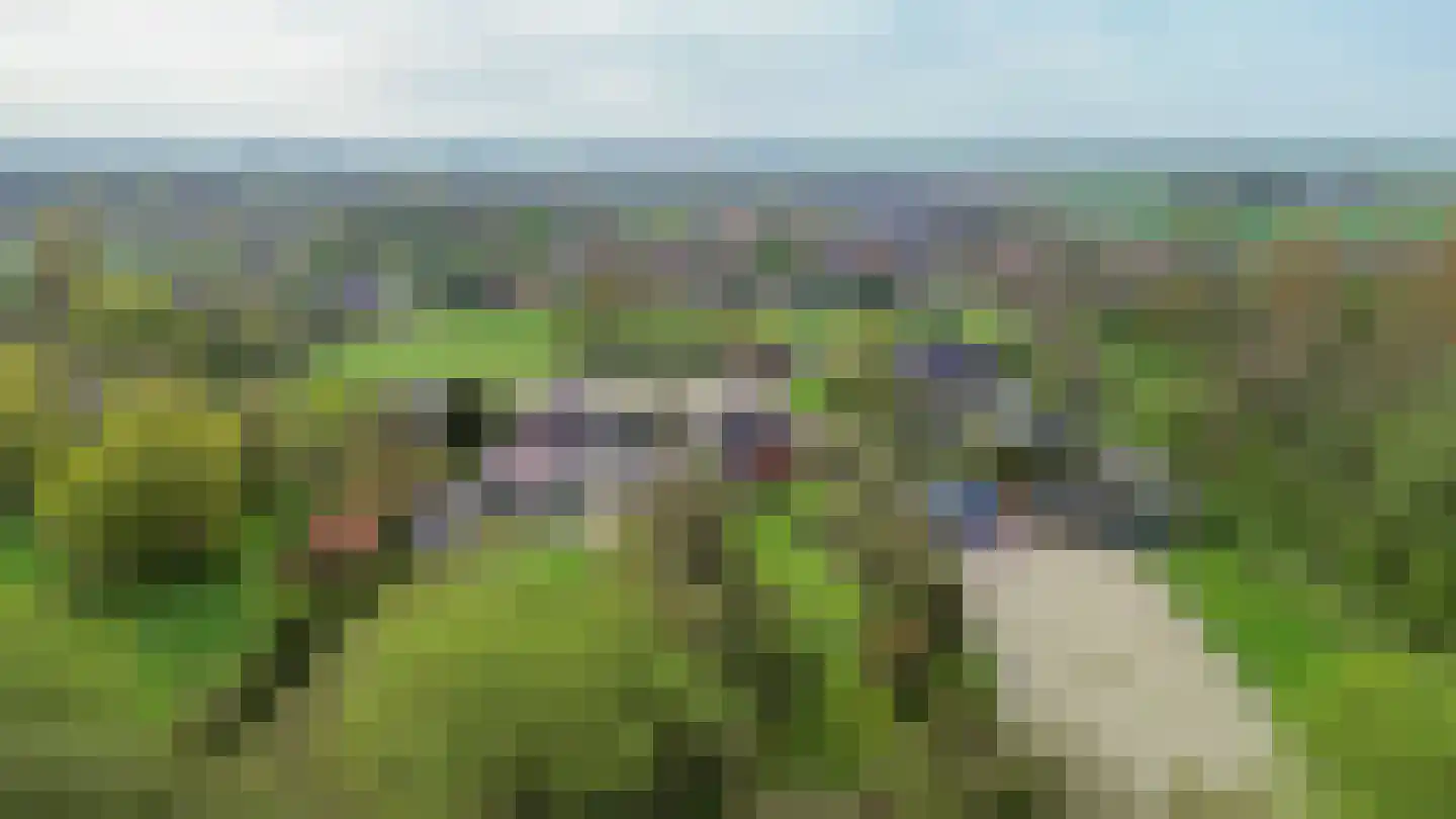 Helpman 31 Warffum thumbnail 6