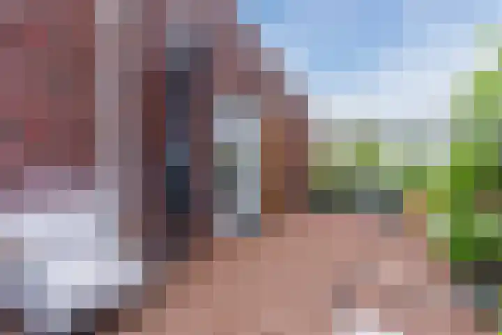 Helsbeemd 3 Eersel thumbnail 15