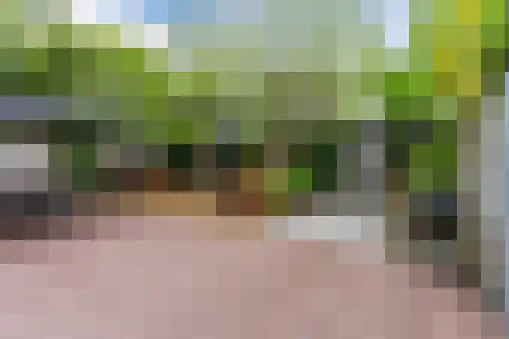 Helsbeemd 3 Eersel thumbnail 28