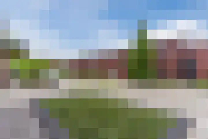 Helsbeemd 3 Eersel thumbnail 33