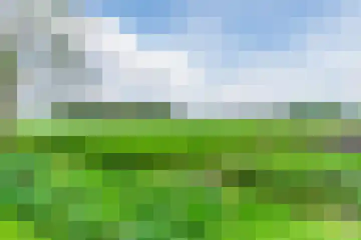 Helsbeemd 3 Eersel thumbnail 34