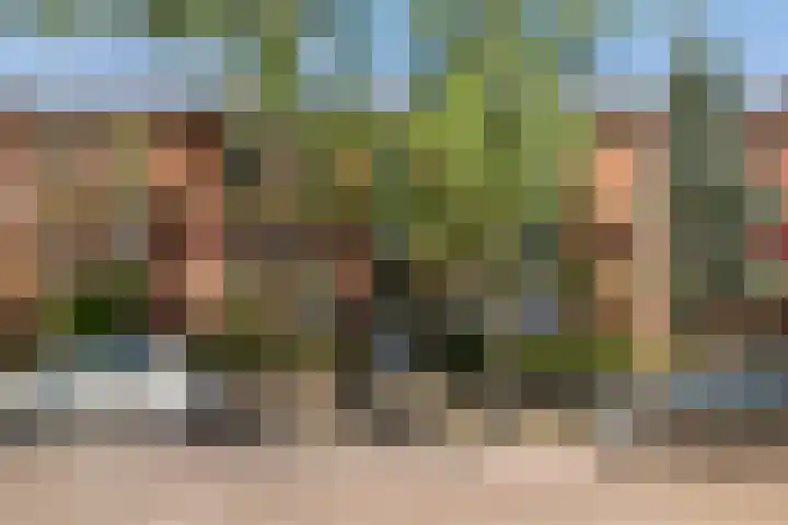 Helsbeemd 3 Eersel thumbnail 40