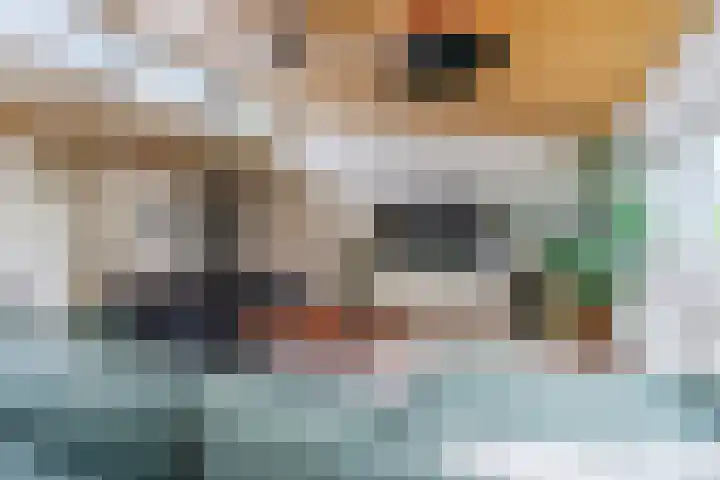 Helsbeemd 3 Eersel thumbnail 7