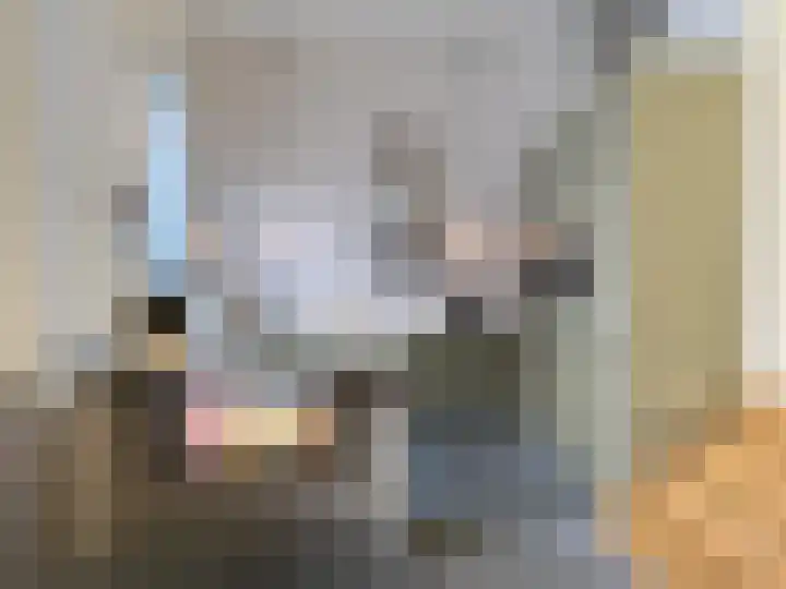 Helschriksel 27 Venlo thumbnail 11
