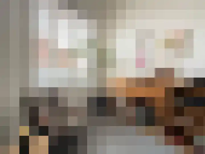 Helschriksel 27 Venlo thumbnail 27