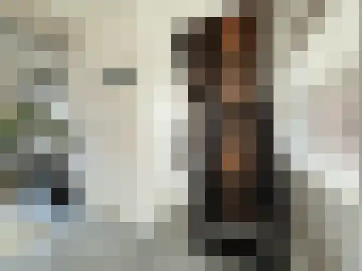 Helschriksel 27 Venlo thumbnail 29