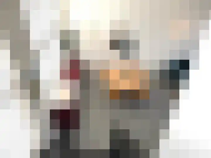 Helschriksel 27 Venlo thumbnail 30