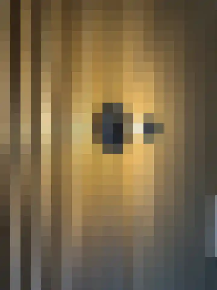 Helschriksel 27 Venlo thumbnail 33