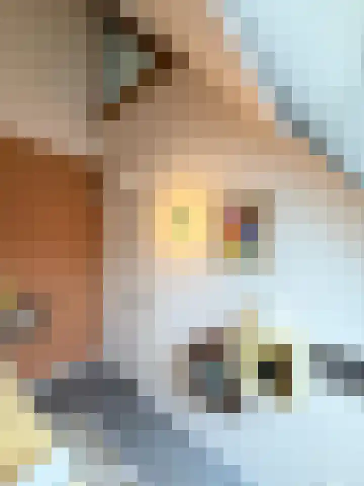 Helschriksel 27 Venlo thumbnail 37
