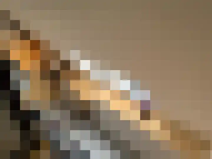 Helschriksel 27 Venlo thumbnail 53