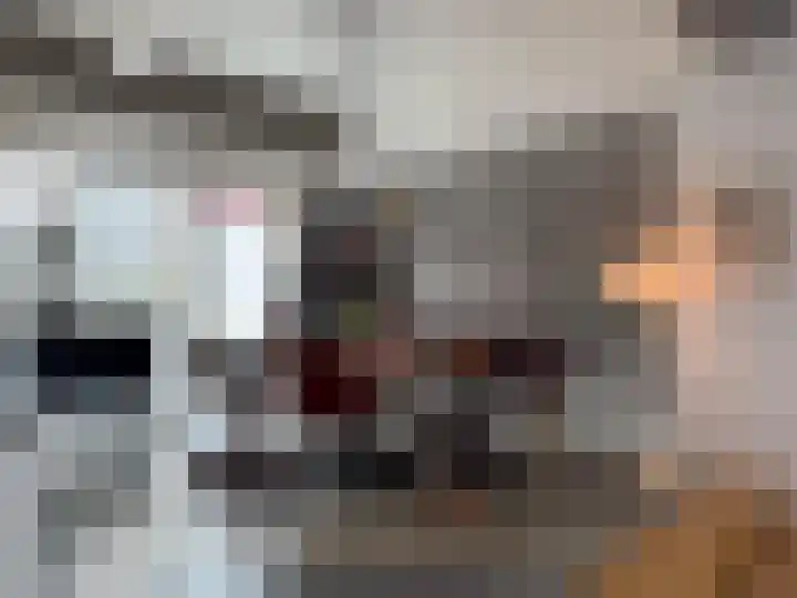 Helschriksel 27 Venlo thumbnail 6