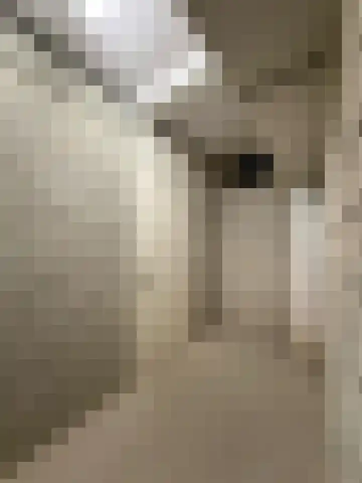 Helschriksel 27 Venlo thumbnail 68