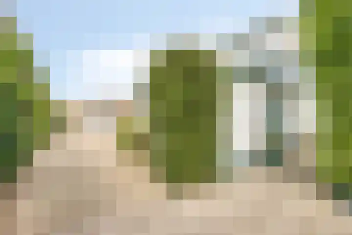 Helsedijk 17 Willemstad thumbnail 28