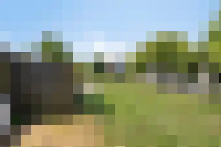 Helsedijk 77 Willemstad thumbnail 34