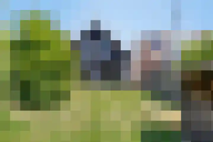 Helsedijk 77 Willemstad thumbnail 36