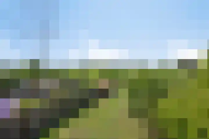 Helsedijk 77 Willemstad thumbnail 38